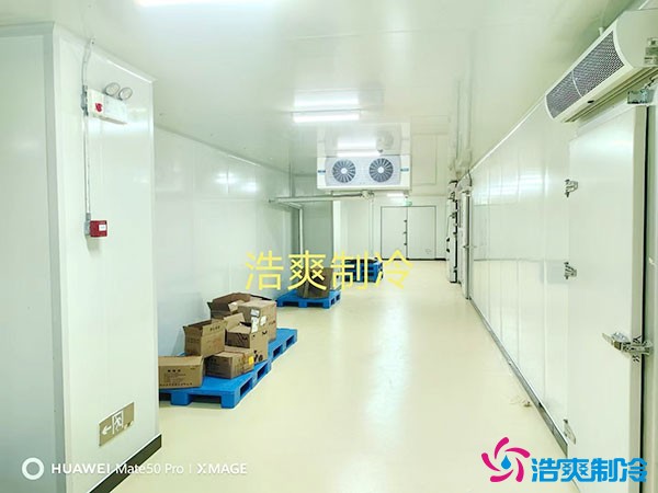 儲存疫苗的企業(yè)獨(dú)立冷庫有幾個(gè)？生物疫苗冷庫造價(jià)